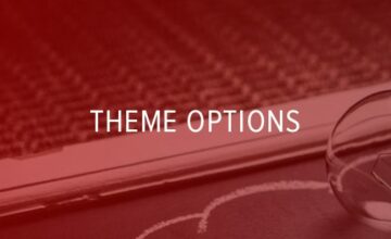 How to use Theme Options on wordpress