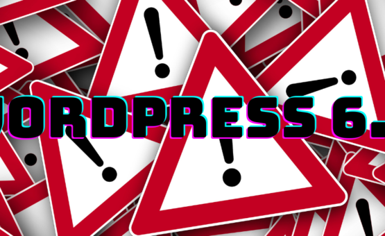 [OFFICIAL NEWS] WARNING: WordPress 6.5 auto update can be risky for your website