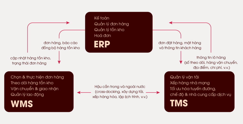 hệ thống erp