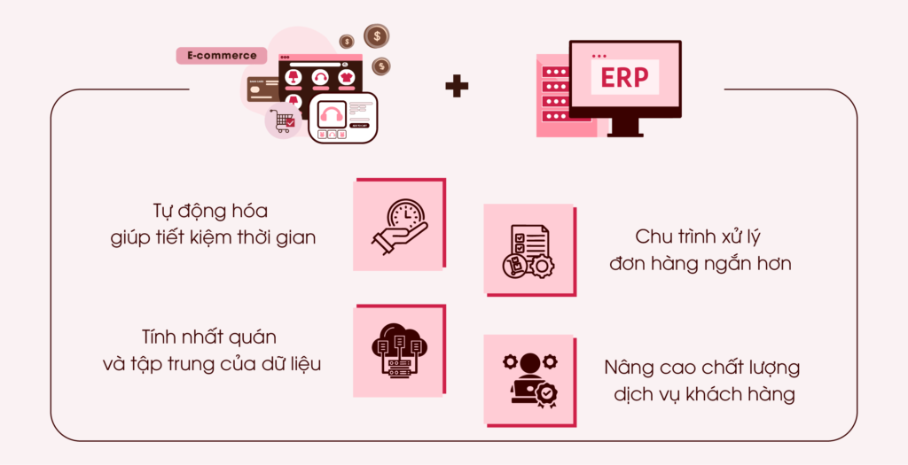 hệ thống erp